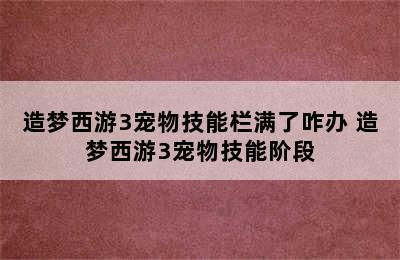 造梦西游3宠物技能栏满了咋办 造梦西游3宠物技能阶段